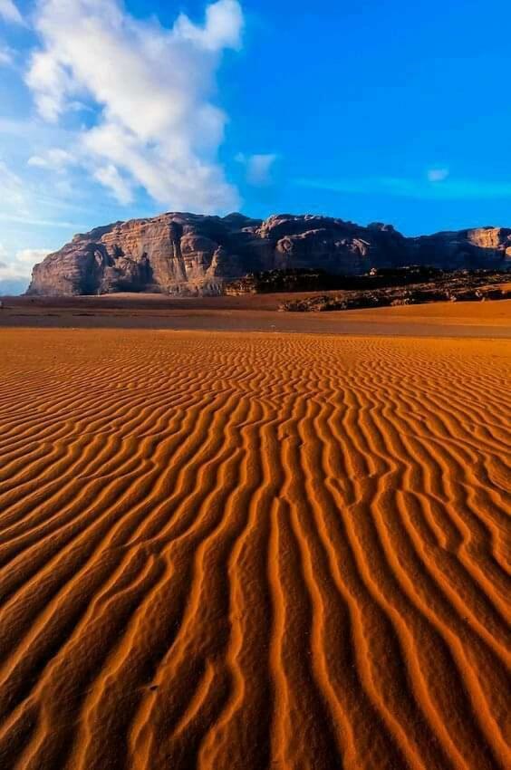 Wadi Rum Bedouin House Exterior photo